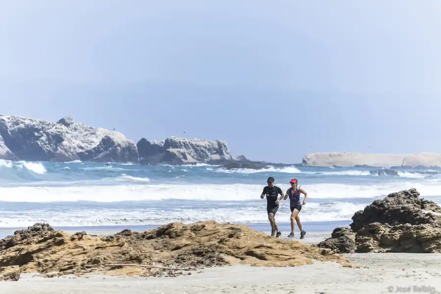 Imagen Playa Los Medanos - Imagen 6