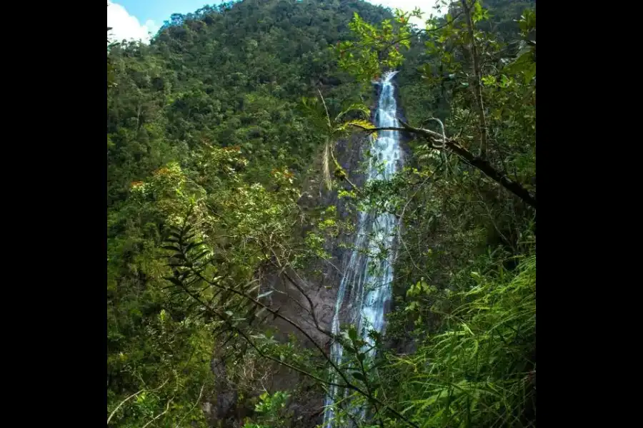 Imagen Catarata Velo De Plata - Imagen 7