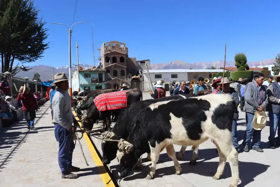 Imagen Fiesta De San Isidro Labrador - Andagua - Imagen 4