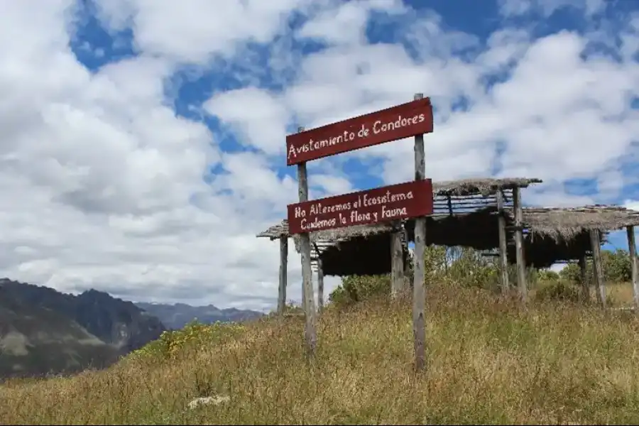 Imagen Mirador De Punta Esperanza - Imagen 1