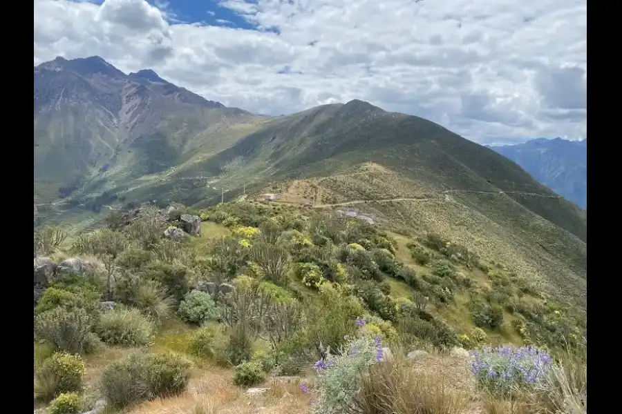 Imagen Mirador De Punta Esperanza - Imagen 6