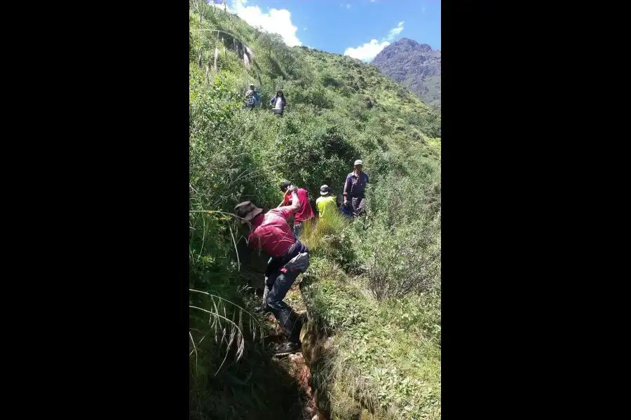 Imagen Champeria De Marachanca - Imagen 7