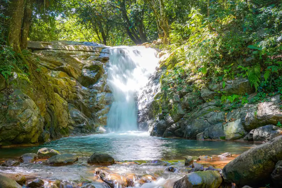 Imagen Cascada El Encanto De Las Palmas - Imagen 1