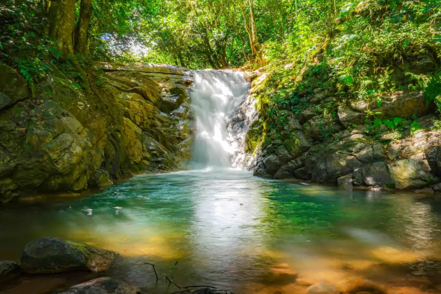 Imagen Cascada El Encanto De Las Palmas - Imagen 4