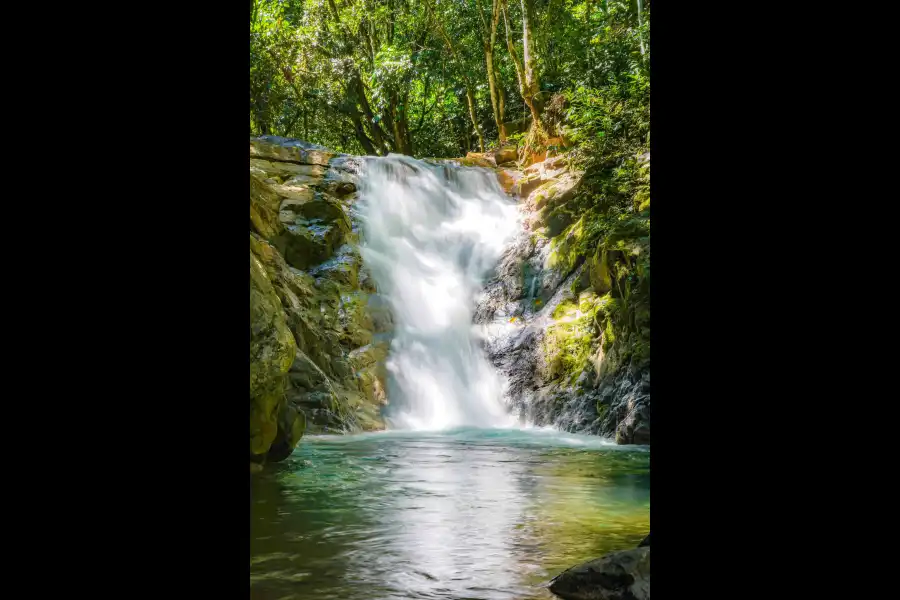 Imagen Cascada El Encanto De Las Palmas - Imagen 6