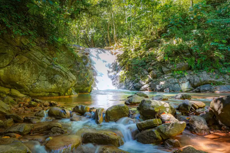 Imagen Cascada El Encanto De Las Palmas - Imagen 7