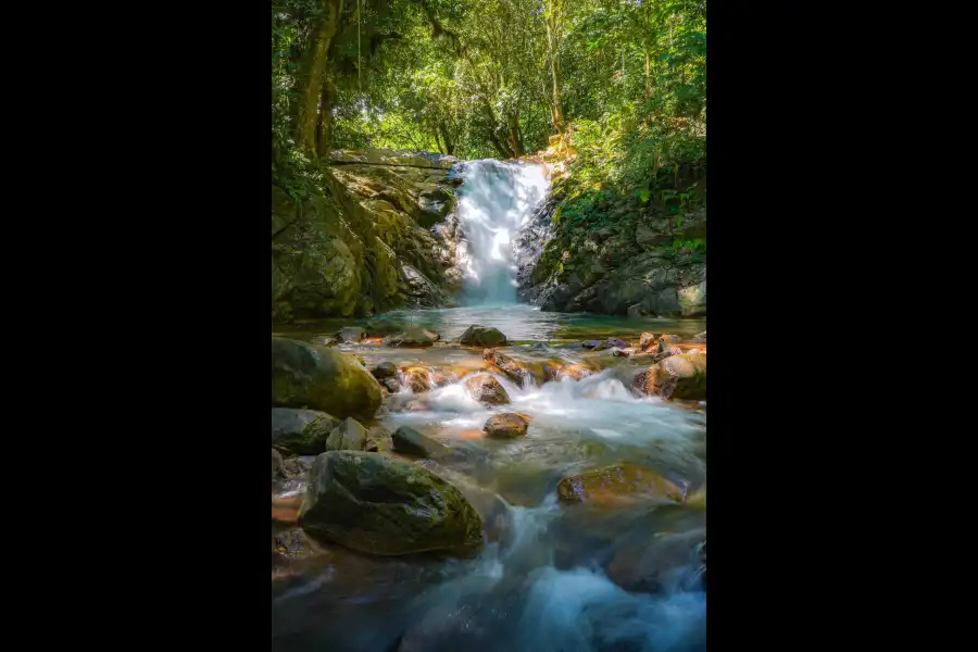 Imagen Cascada El Encanto De Las Palmas - Imagen 9