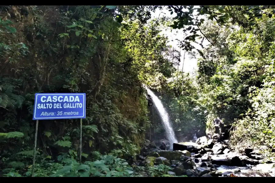 Imagen Catarata Salto Del Gallito - Imagen 1