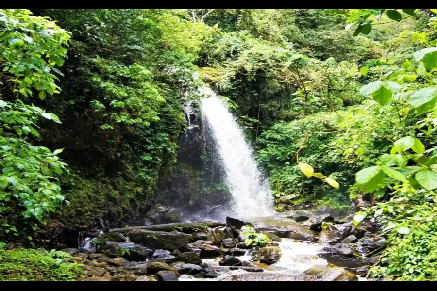 Imagen Catarata Salto Del Gallito - Imagen 3