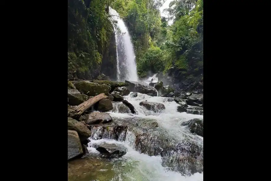 Imagen Catarata Salto Del Gallito - Imagen 4