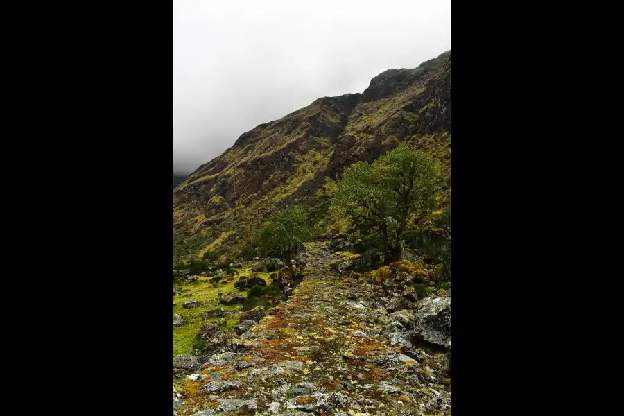 Imagen Camino Inca A Choquequirao Tramo (Inca Machay – Quelqa Machay) - Imagen 4