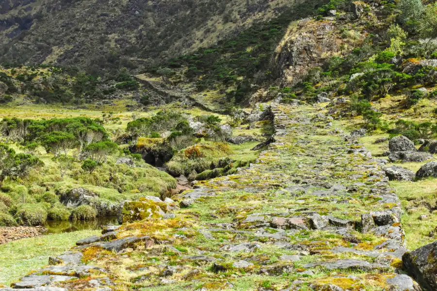 Imagen Camino Inca A Choquequirao Tramo (Inca Machay – Quelqa Machay) - Imagen 6