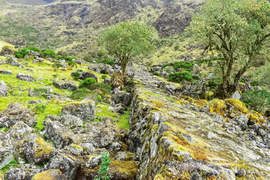 Imagen Camino Inca A Choquequirao Tramo (Inca Machay – Quelqa Machay) - Imagen 7