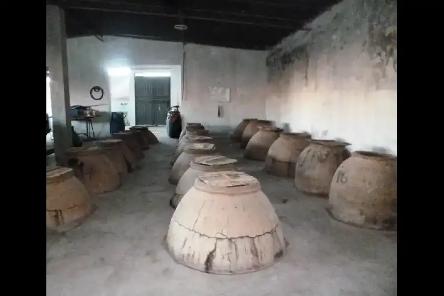 Imagen Bodega La Barrera - Imagen 3