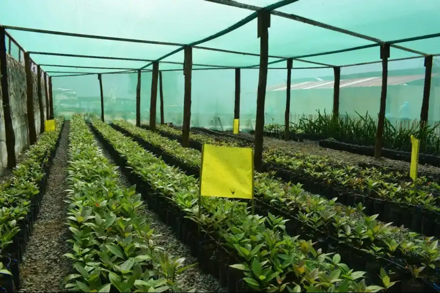 Imagen Vivero Municipal Agrotecnológico - Imagen 9