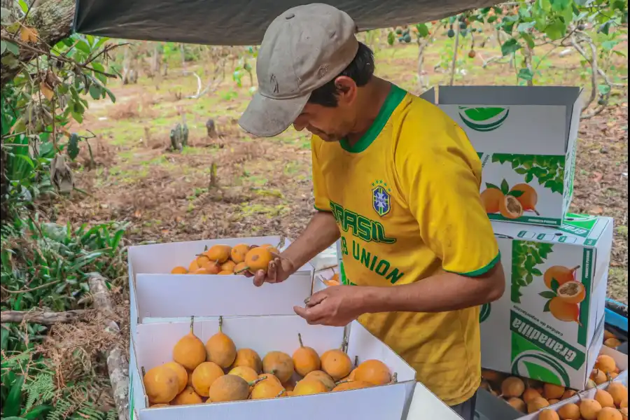 Imagen Festival De La Granadilla - Mallampampa - Imagen 1