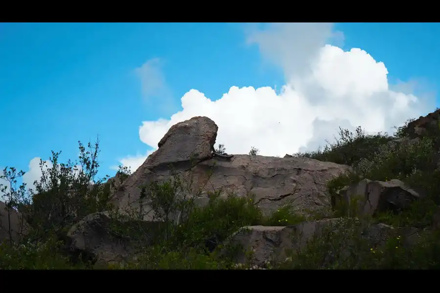 Imagen Bosque De Piedra De Casire - Imagen 5