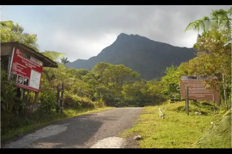 Imagen Sendero El Canto Del Bosque - Imagen 6