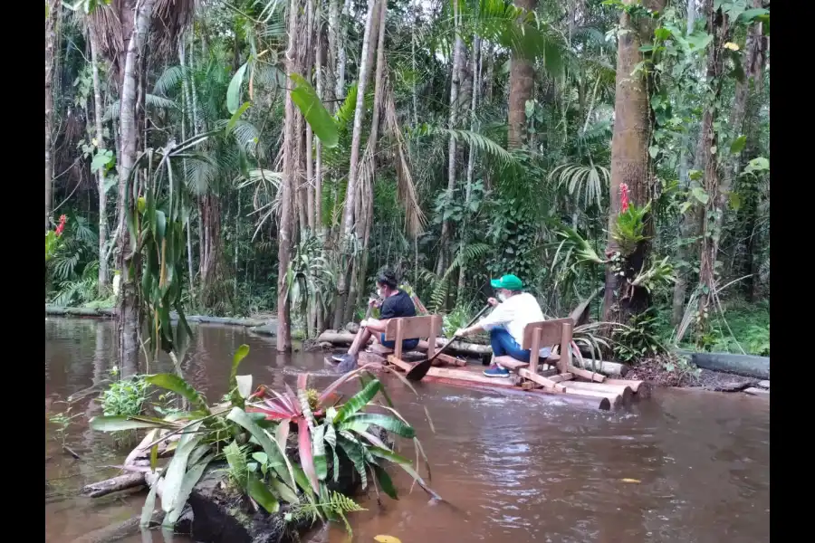 Imagen Área De Conservación Amazon Forever Biopark - Imagen 8