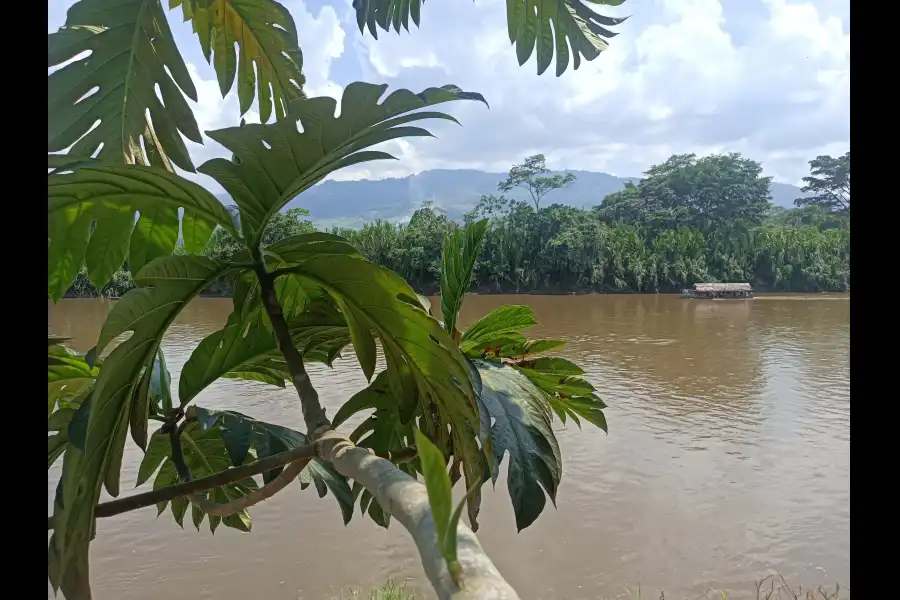 Imagen Río Mayo, Sector Juan Antonio - Tahuishco - Imagen 5