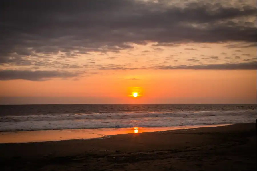 Imagen Playa El Potrero - Caleta De Carquín - Imagen 4