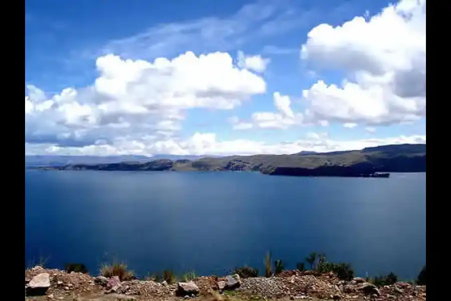 Imagen Reserva Nacional Del Titicaca - Imagen 3