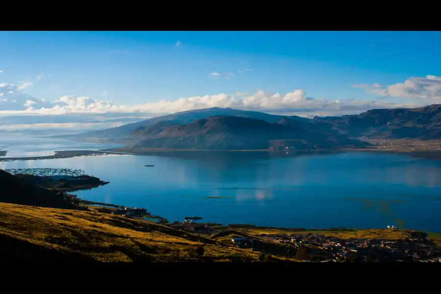 Imagen Reserva Nacional Del Titicaca - Imagen 7