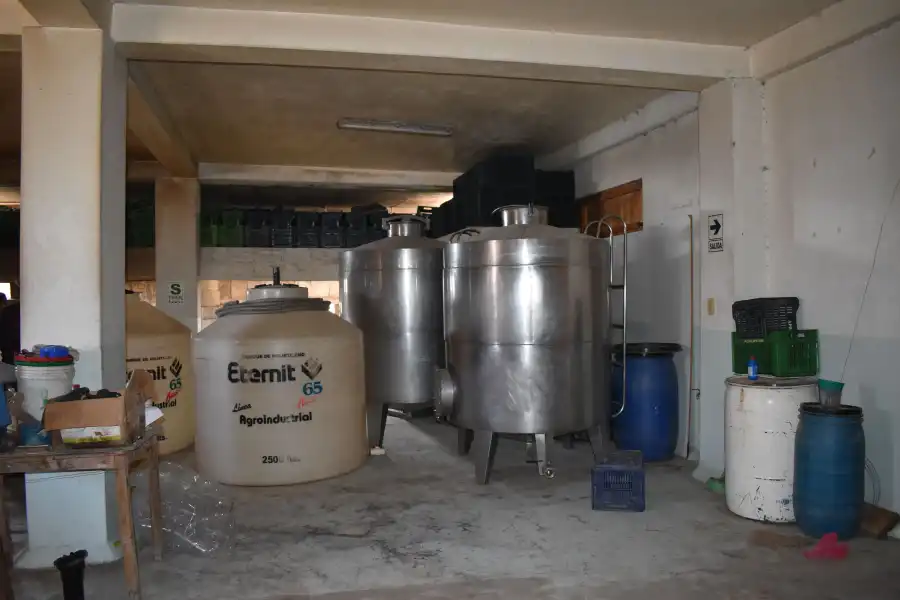 Imagen Bodega San José De La Chimba - Imagen 6