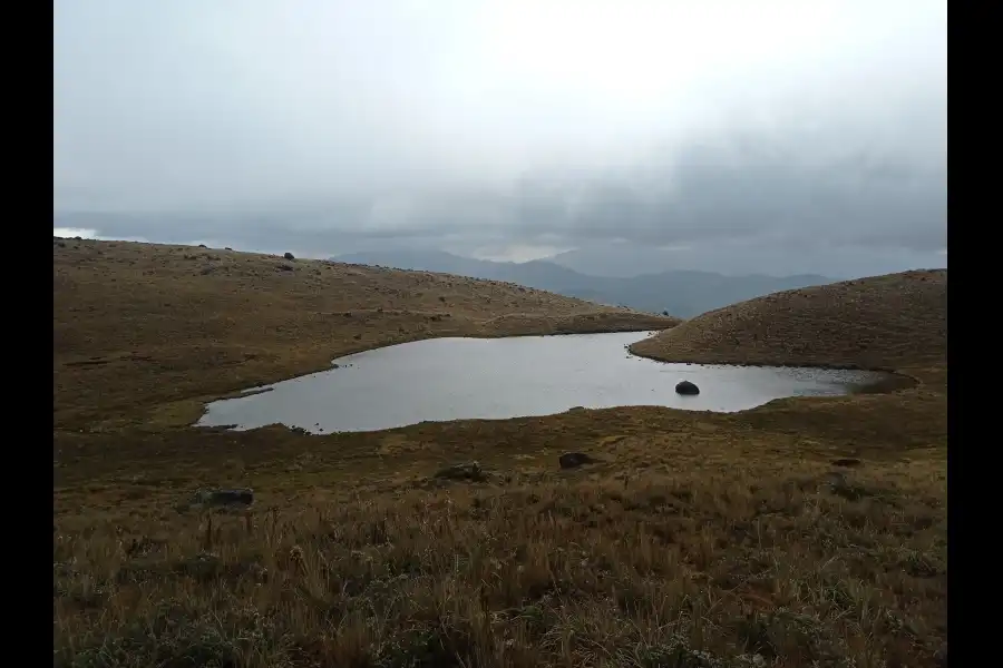 Imagen Laguna Los Patos - Imagen 1