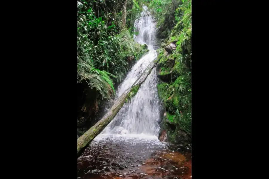 Imagen Cascada Saucecillo Cuna Verde - Imagen 1