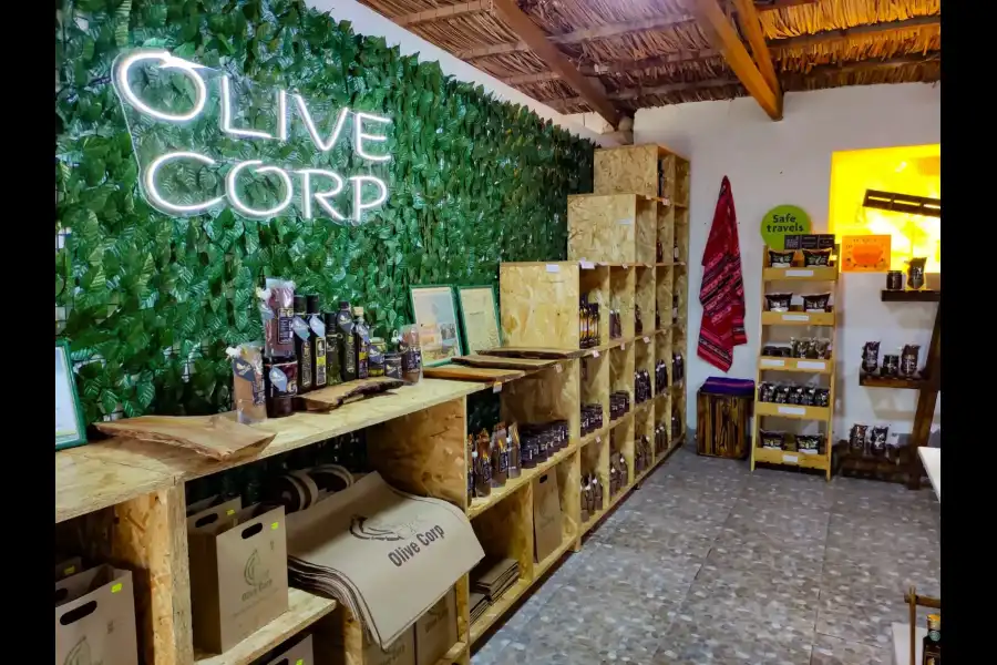 Imagen Fundo De Olivos Olive Corp  (Chiviquina) - Imagen 1