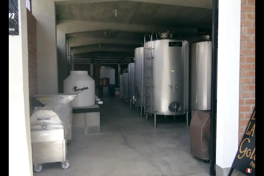 Imagen Bodega De Vinos Y Piscos La Palma - Imagen 11