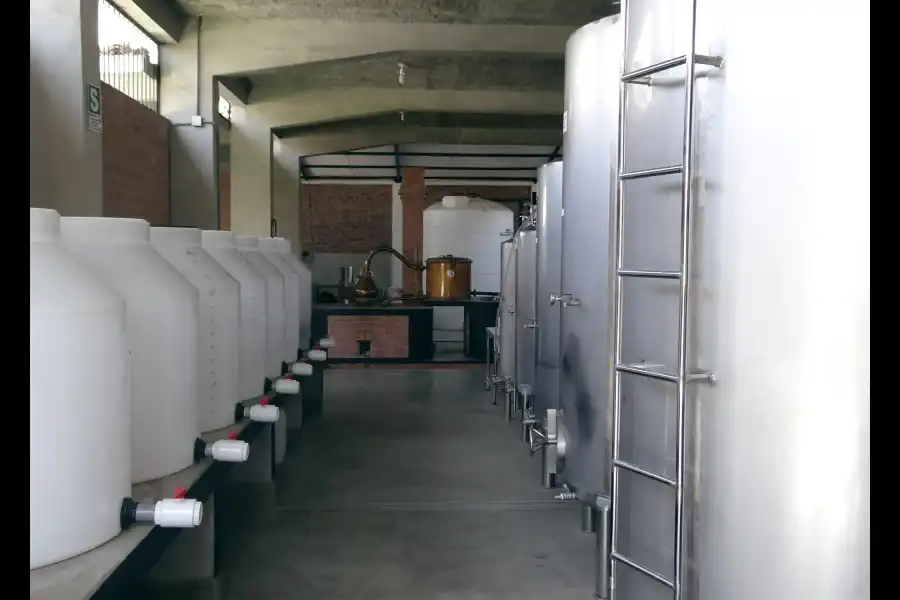 Imagen Bodega De Vinos Y Piscos La Palma - Imagen 14