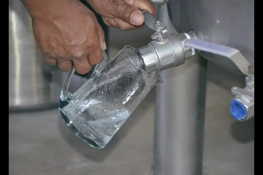 Imagen Bodega De Vinos Y Piscos La Palma - Imagen 9