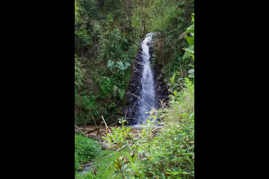 Imagen Cascada La Lima - Imagen 1