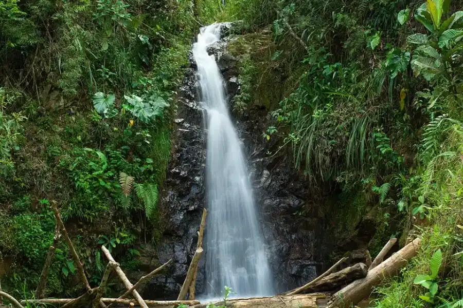 Imagen Cascada La Lima - Imagen 4