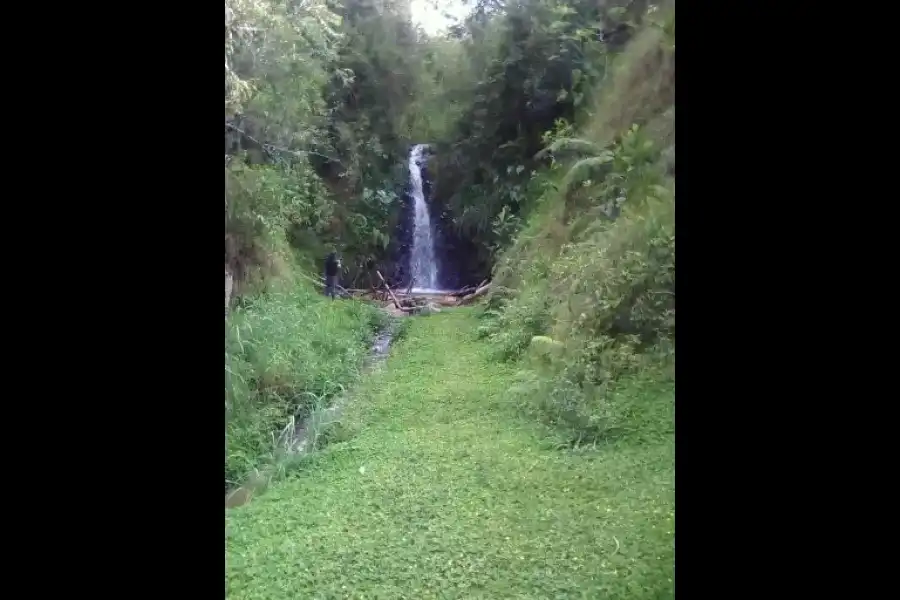 Imagen Cascada La Lima - Imagen 5