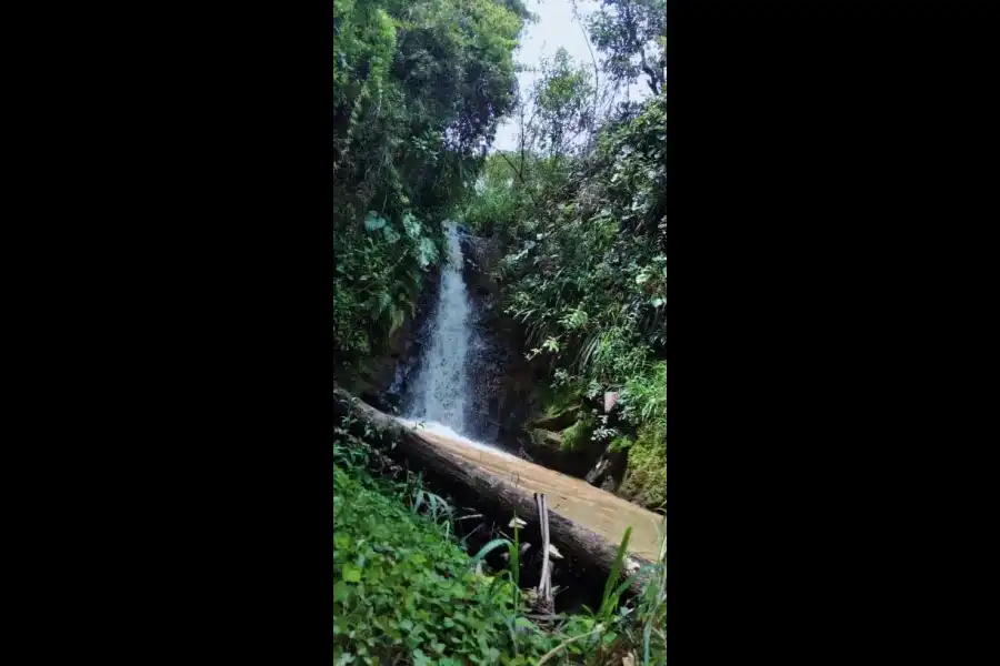 Imagen Cascada La Lima - Imagen 7