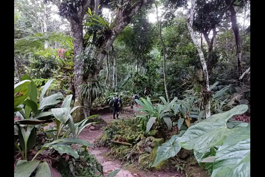 Imagen Centro De Conservación Waqanki - Imagen 4