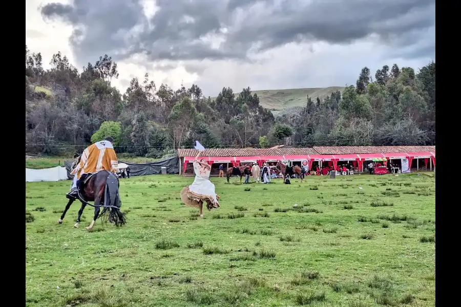 Imagen Feria Agropecuaria De Masma Chicche - Imagen 11