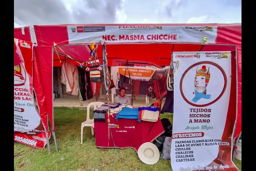 Imagen Feria Agropecuaria De Masma Chicche - Imagen 19