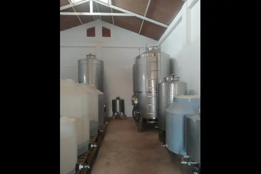 Imagen Bodega San Julián - Moquegua - Imagen 3