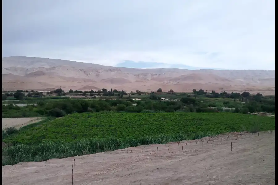 Imagen Bodega San Julián - Moquegua - Imagen 5