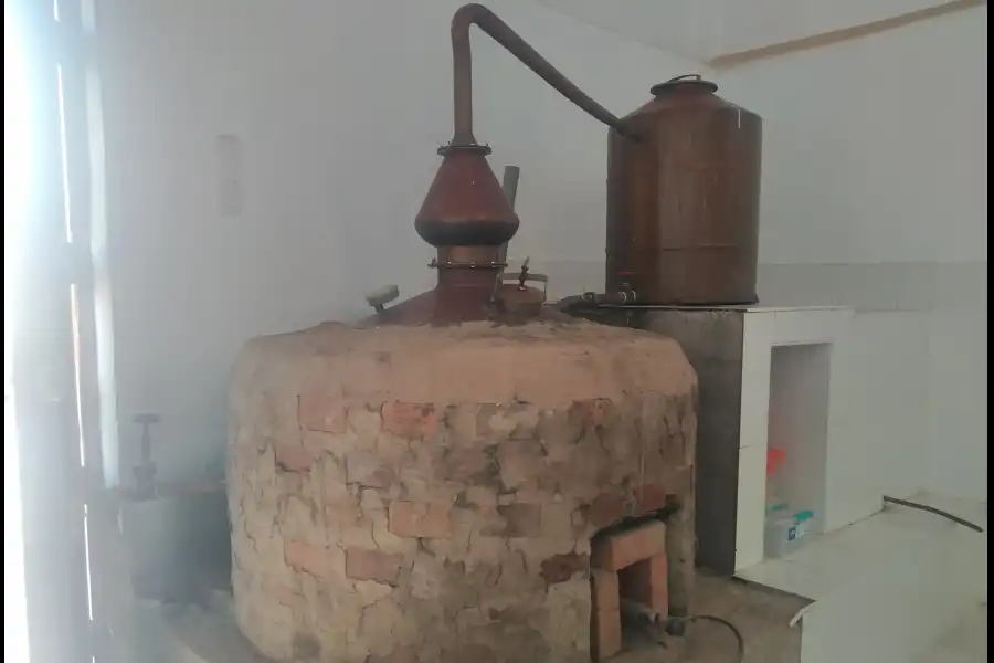 Imagen Bodega San Julián - Moquegua - Imagen 7