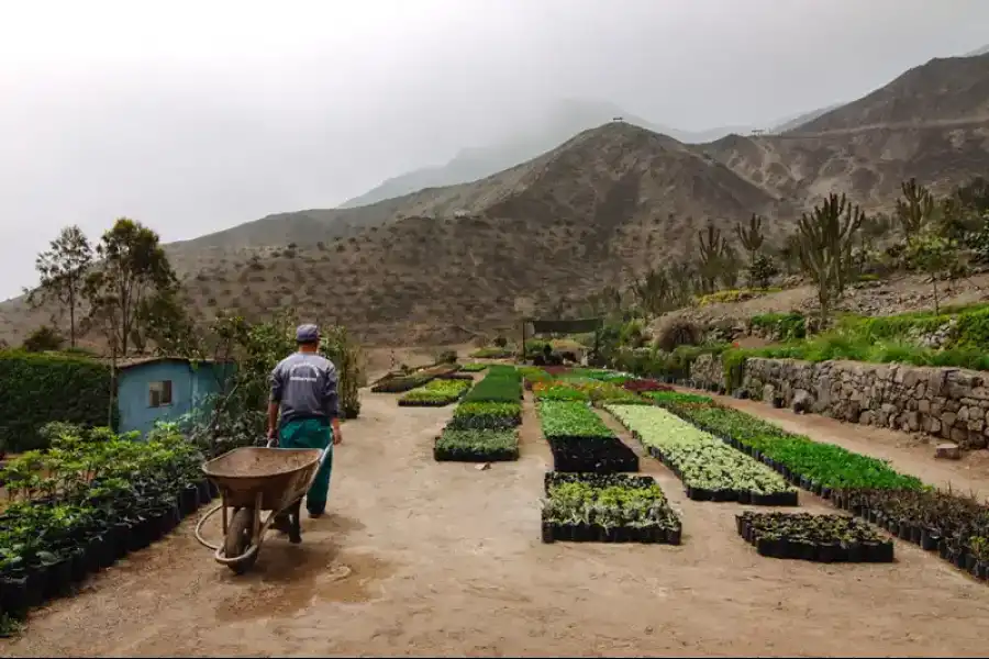 Imagen Parque Ecológico De La Molina - Imagen 1