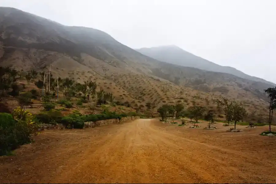 Imagen Parque Ecológico De La Molina - Imagen 3