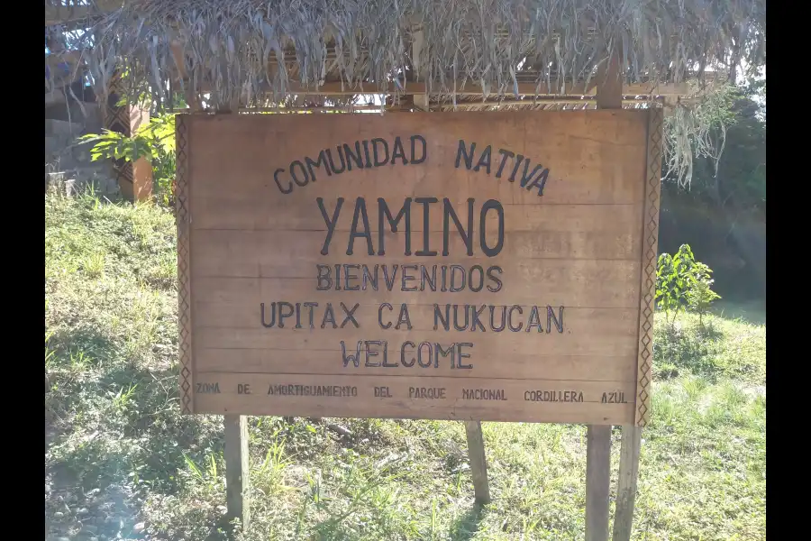 Imagen Comunidad Nativa Yamino - Imagen 7