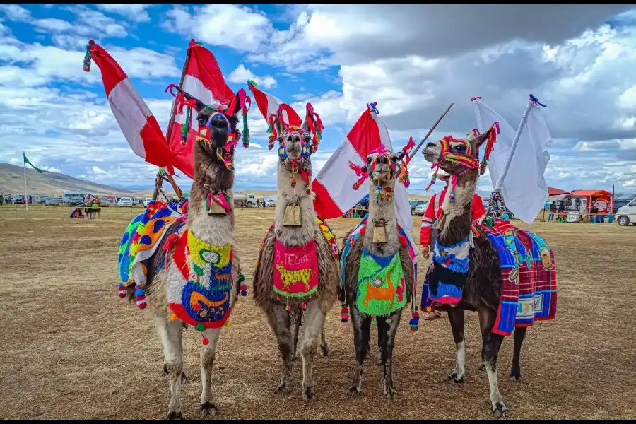 Imagen Festividad De La Santisima Cruz De Coporaque - Imagen 4