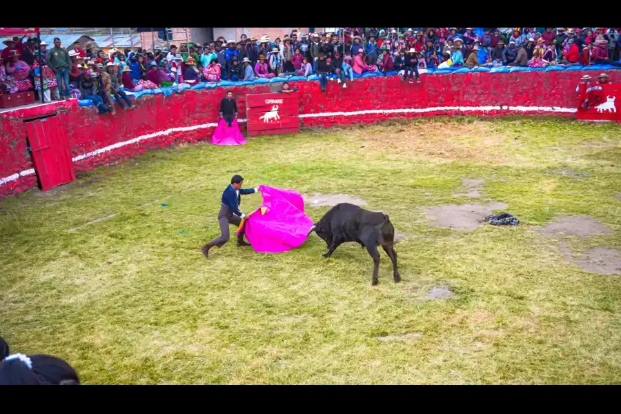 Imagen Festividad De La Santisima Cruz De Coporaque - Imagen 5