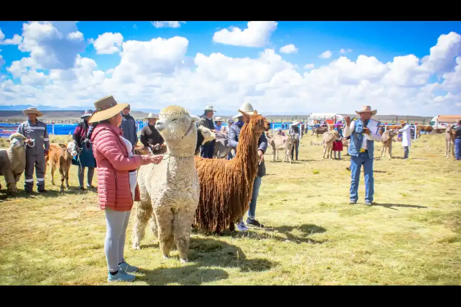 Imagen Festividad De La Santisima Cruz De Coporaque - Imagen 8